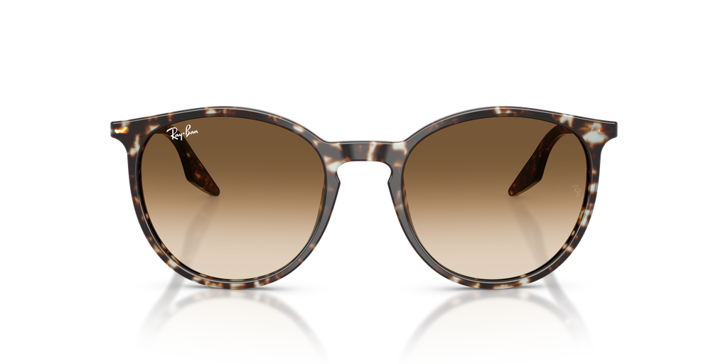 Ray-Ban | 0RB2204