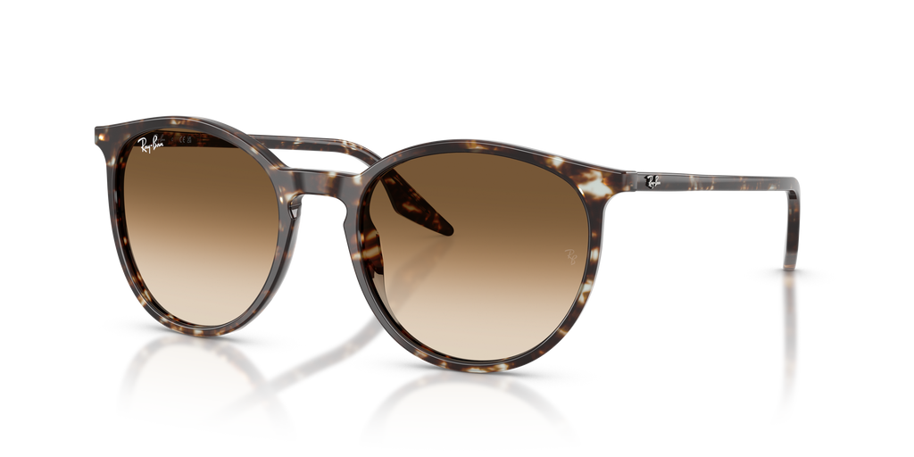 Ray-Ban | 0RB2204