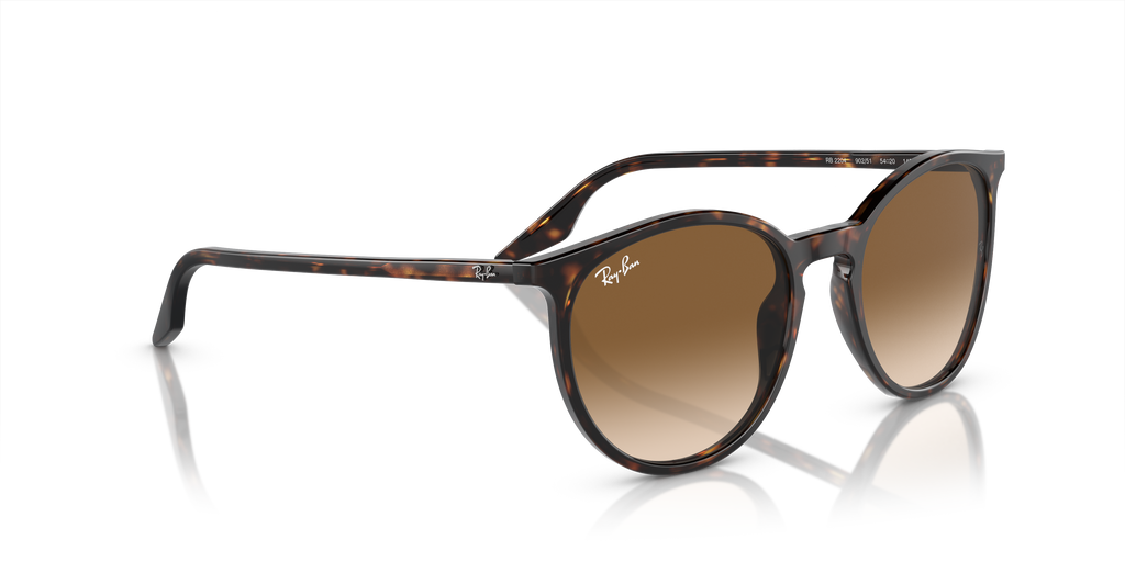 Ray-Ban | 0RB2204