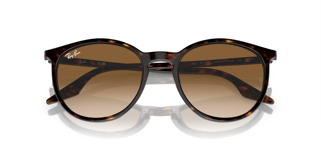 Ray-Ban | 0RB2204