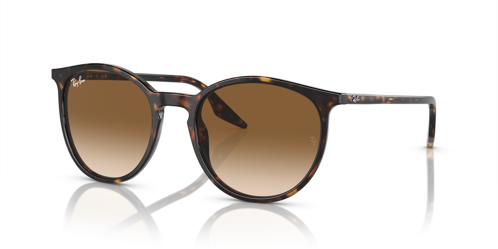 Ray-Ban | 0RB2204