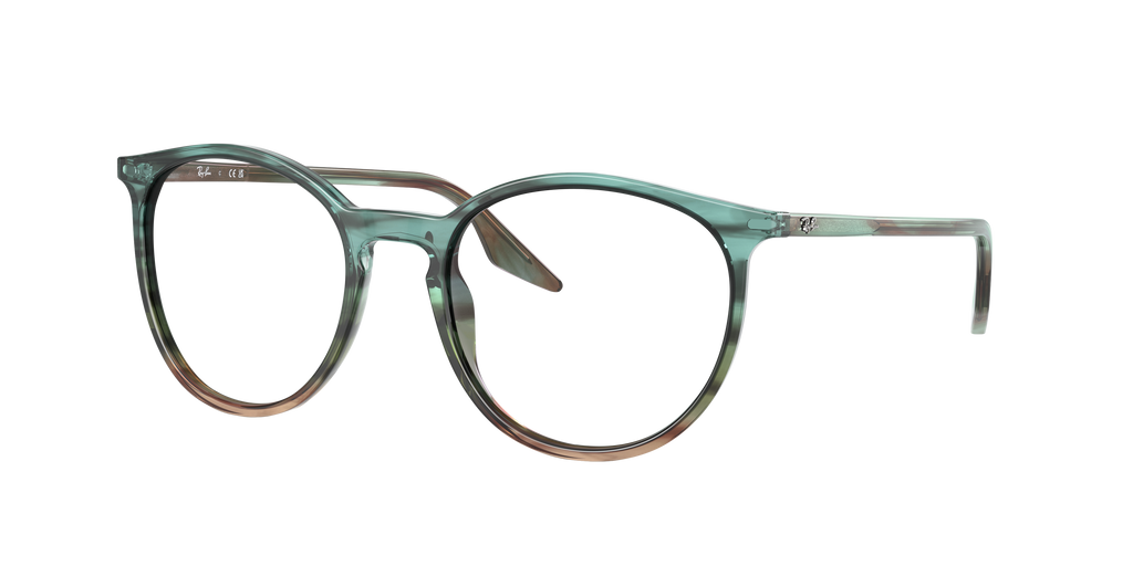 Ray-Ban | 0RB2204