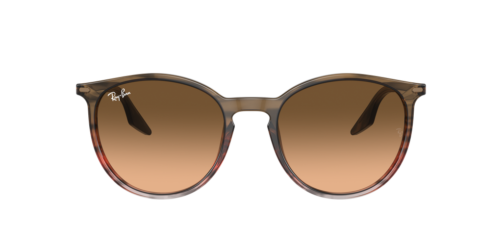 Ray-Ban | 0RB2204