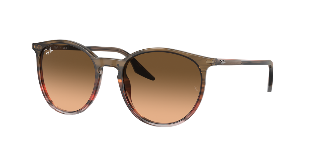 Ray-Ban | 0RB2204