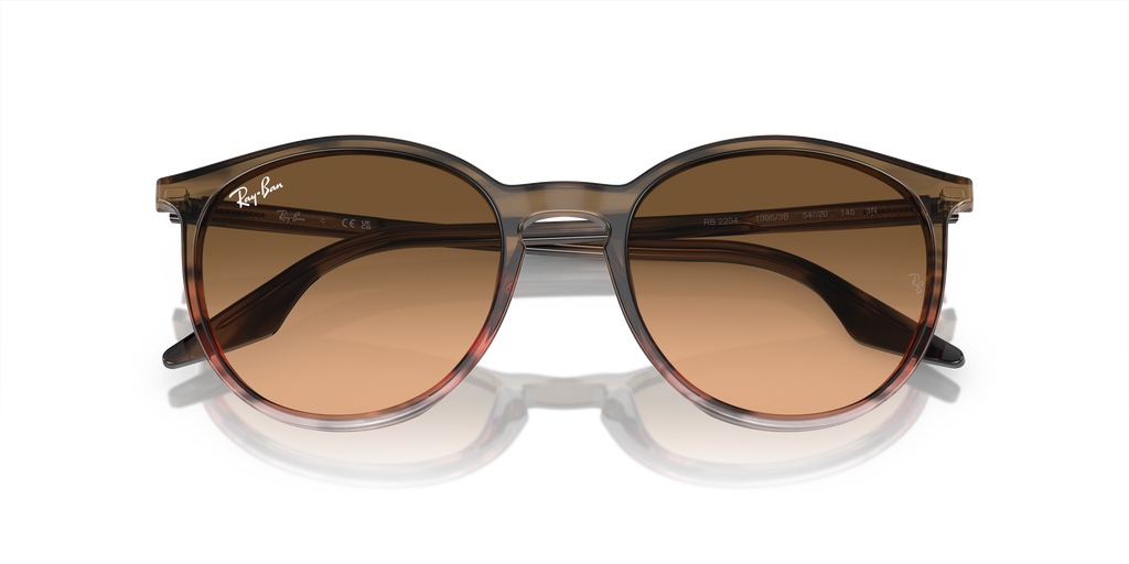 Ray-Ban | 0RB2204