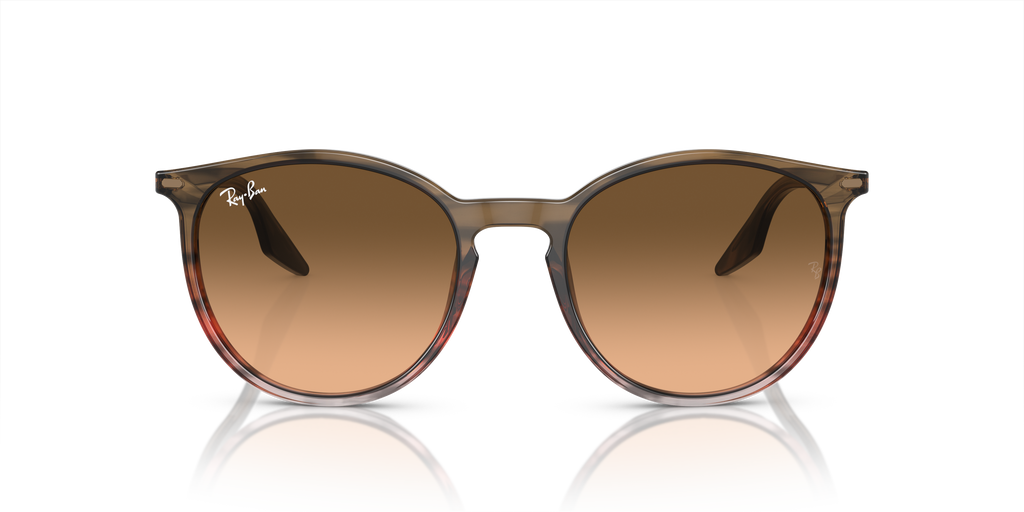 Ray-Ban | 0RB2204