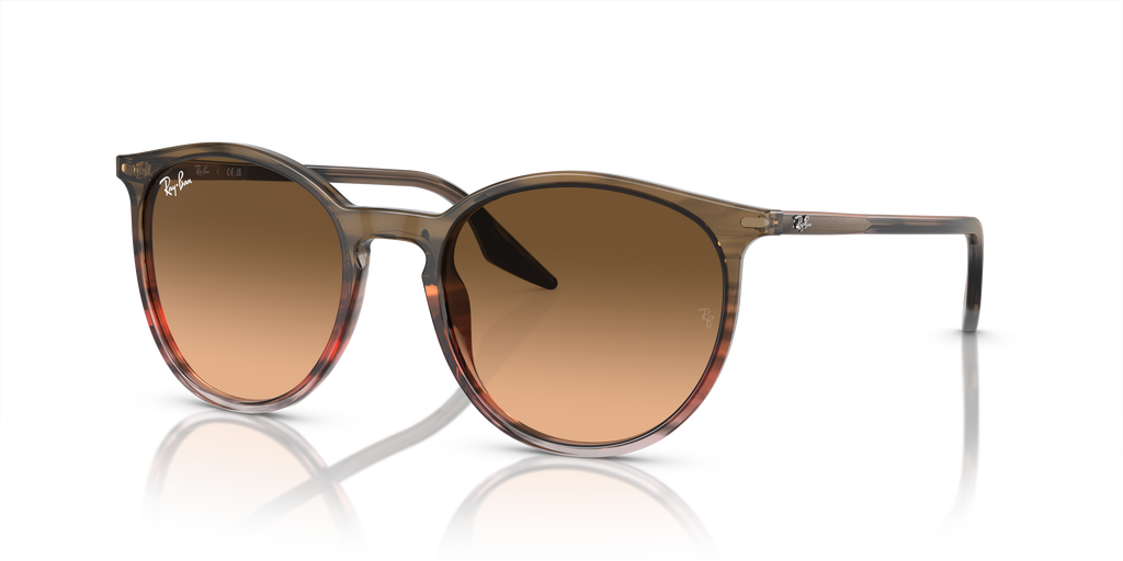 Ray-Ban | 0RB2204
