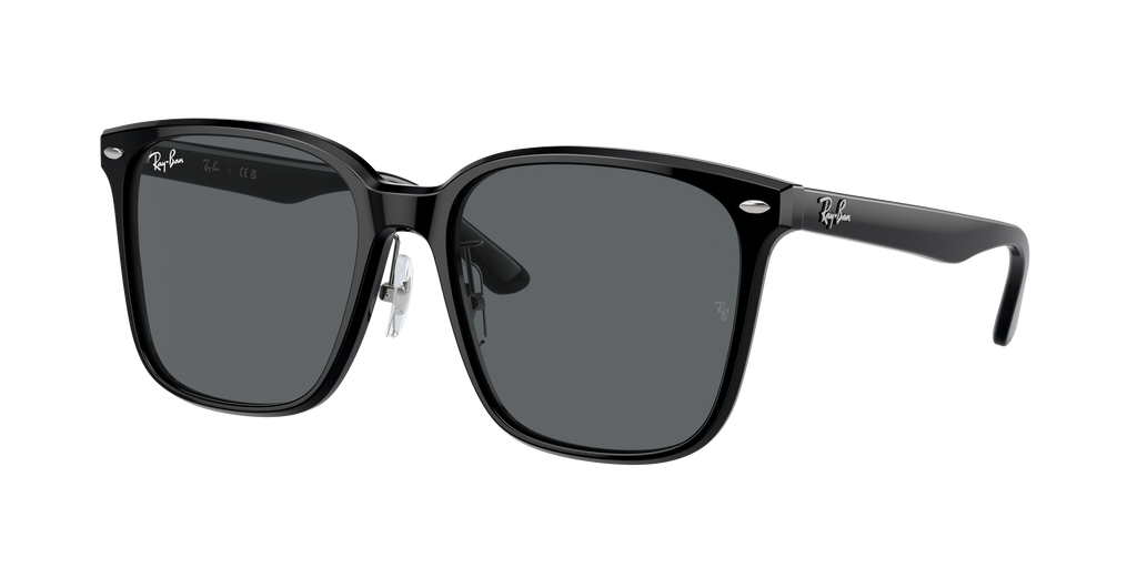 Ray-Ban | 0RB2206D