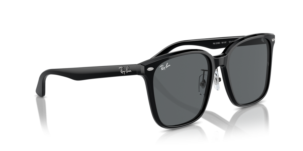 Ray-Ban | 0RB2206D