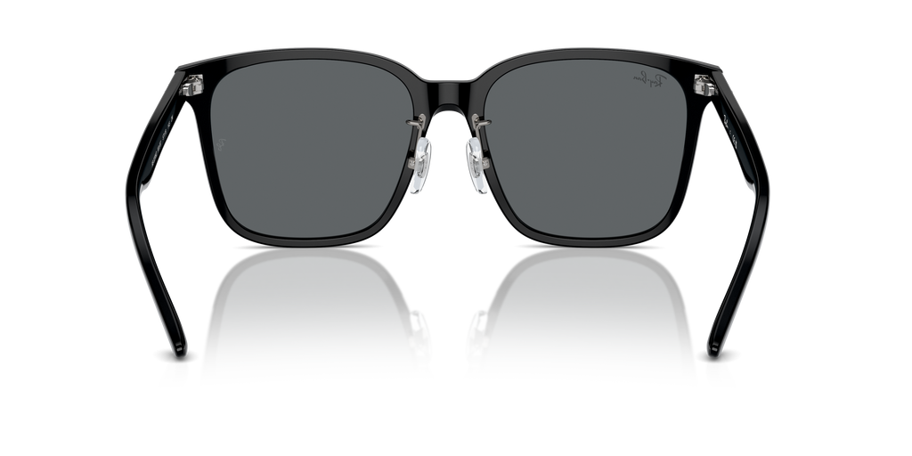 Ray-Ban | 0RB2206D