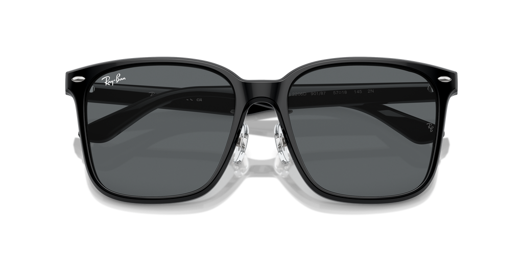 Ray-Ban | 0RB2206D