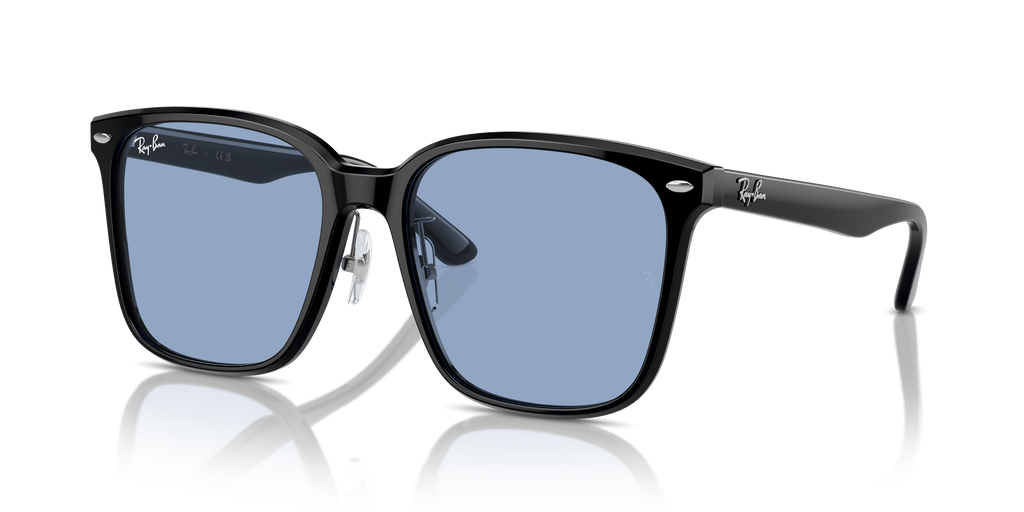 Ray-Ban | 0RB2206D