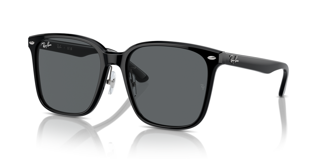 Ray-Ban | 0RB2206D