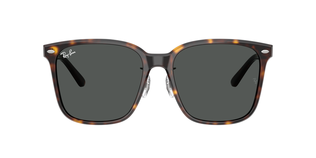 Ray-Ban | 0RB2206D