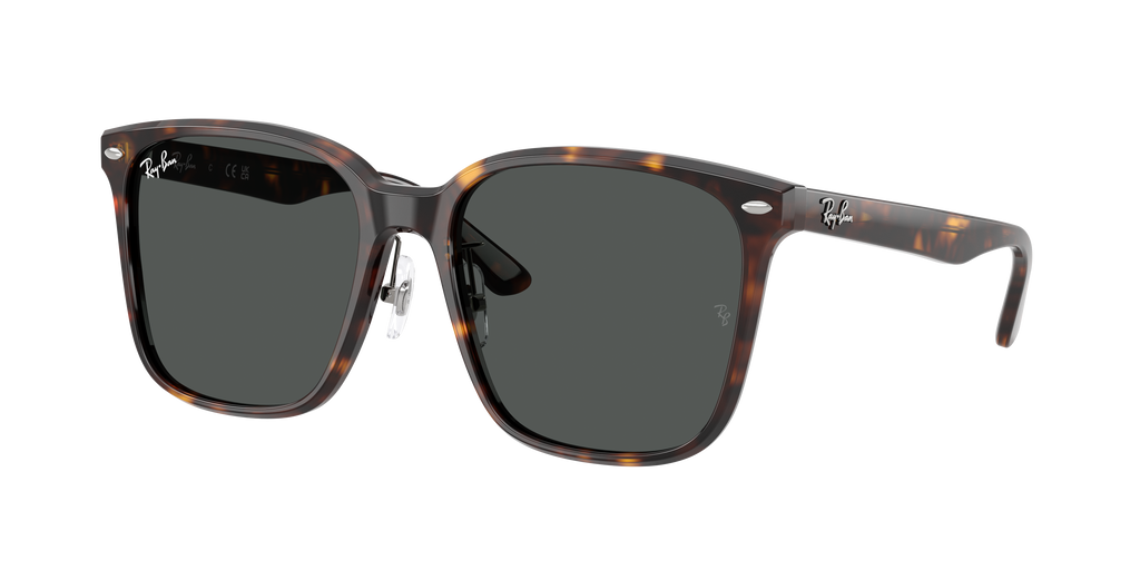 Ray-Ban | 0RB2206D