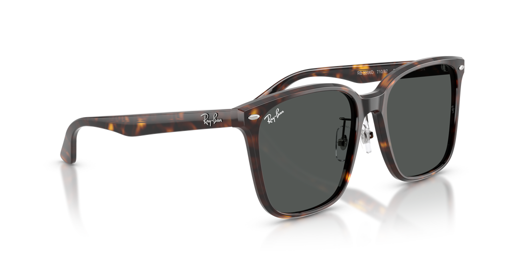 Ray-Ban | 0RB2206D
