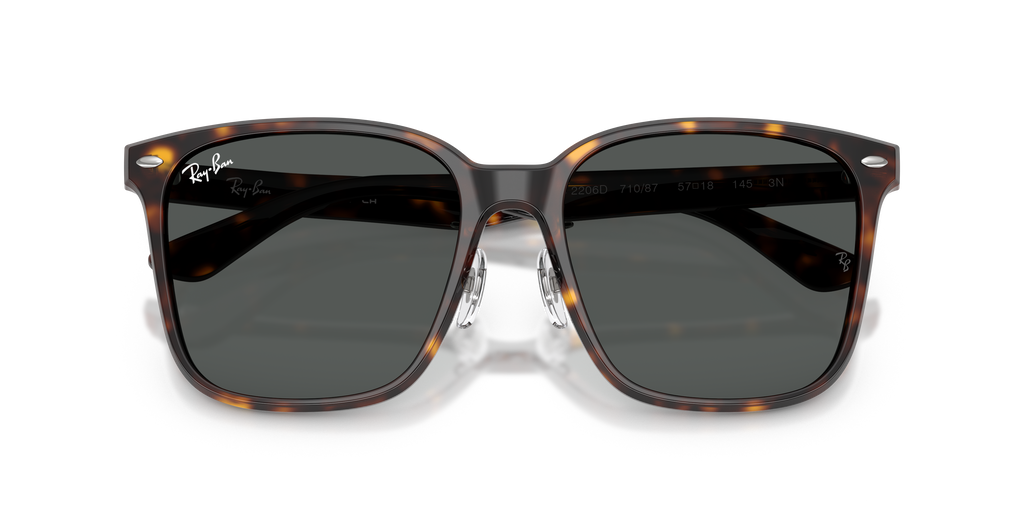 Ray-Ban | 0RB2206D