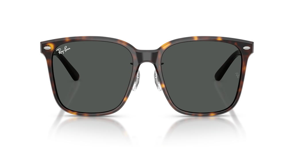 Ray-Ban | 0RB2206D
