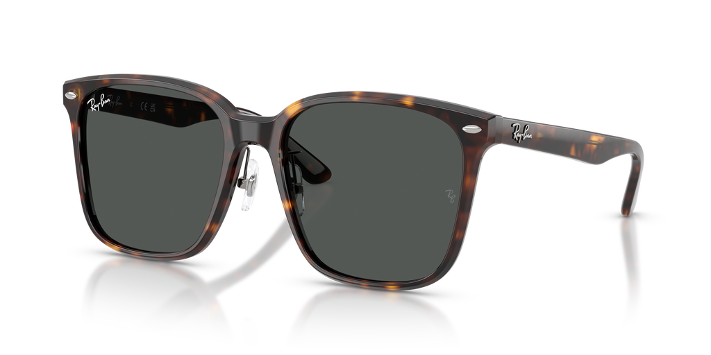 Ray-Ban | 0RB2206D