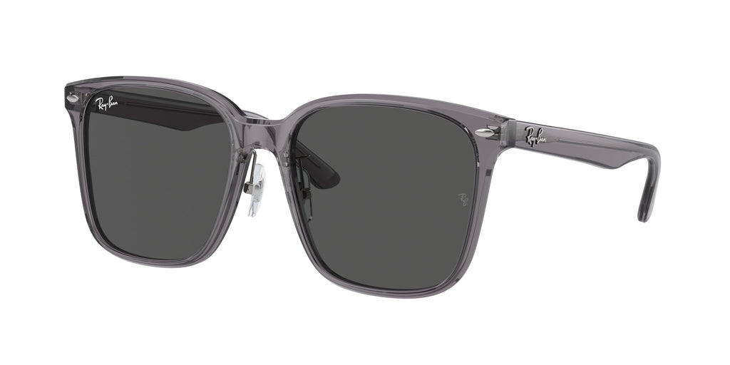 Ray-Ban | 0RB2206D