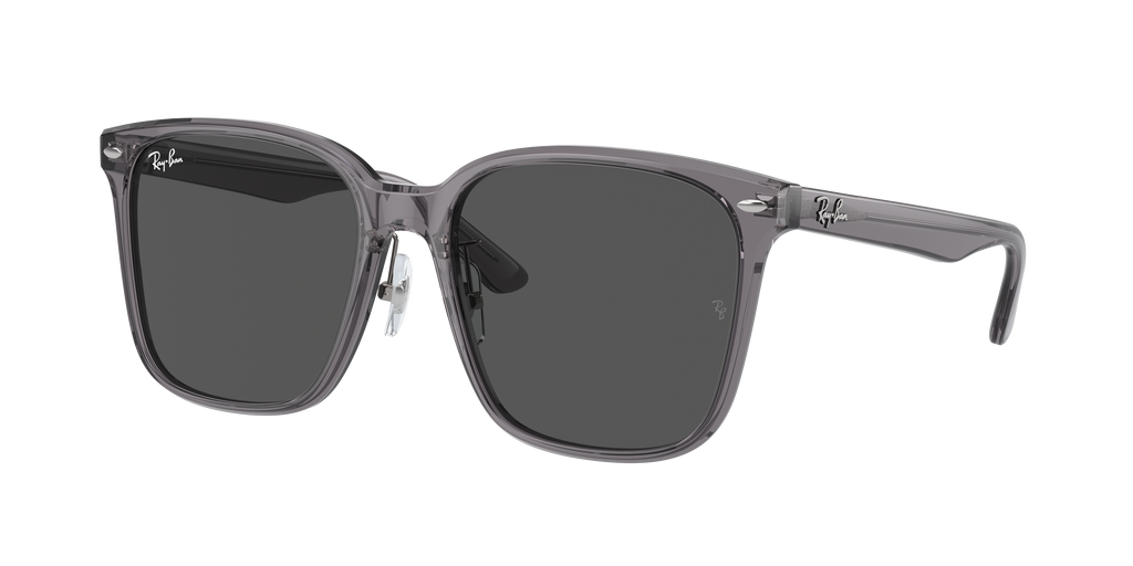 Ray-Ban | 0RB2206D