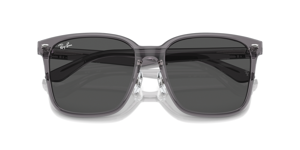 Ray-Ban | 0RB2206D
