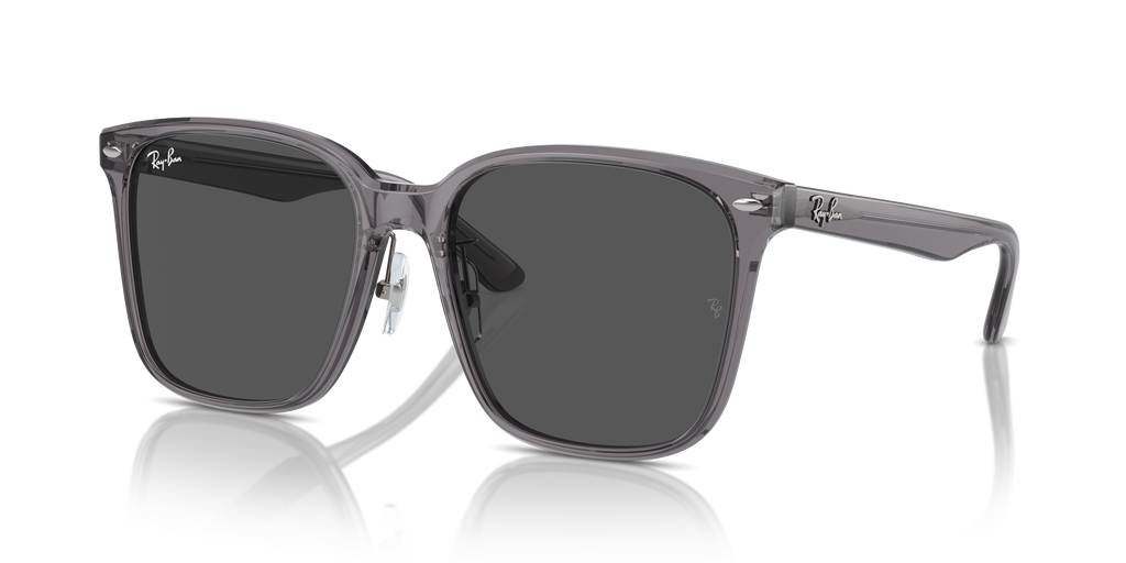 Ray-Ban | 0RB2206D
