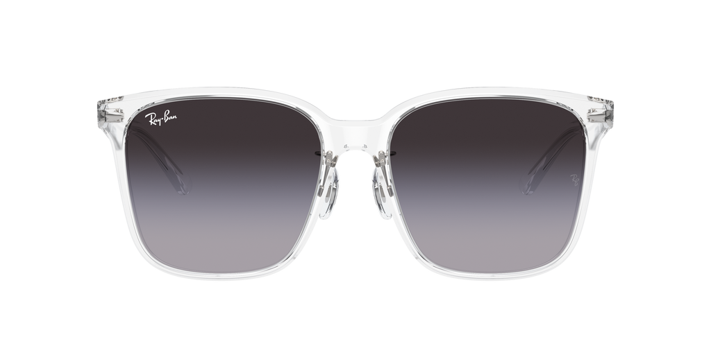 Ray-Ban | 0RB2206D
