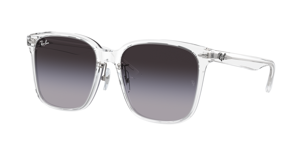 Ray-Ban | 0RB2206D