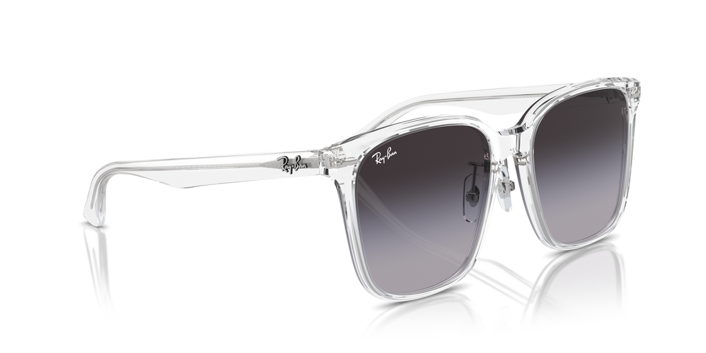 Ray-Ban | 0RB2206D