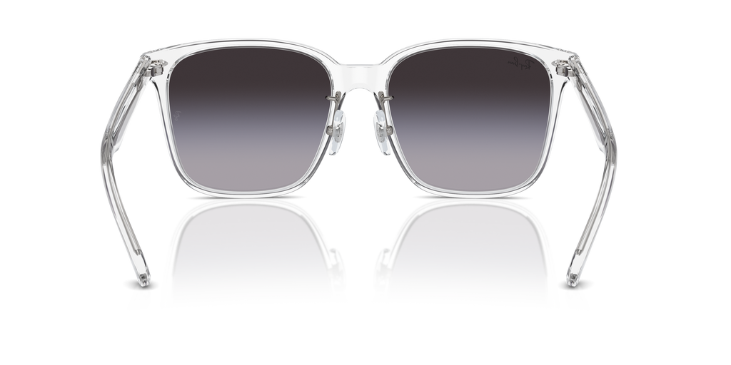 Ray-Ban | 0RB2206D