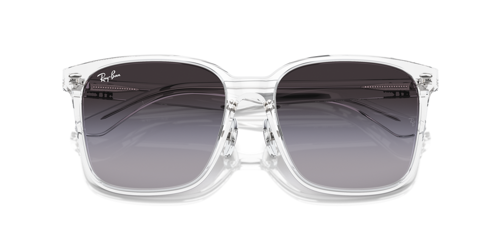 Ray-Ban | 0RB2206D