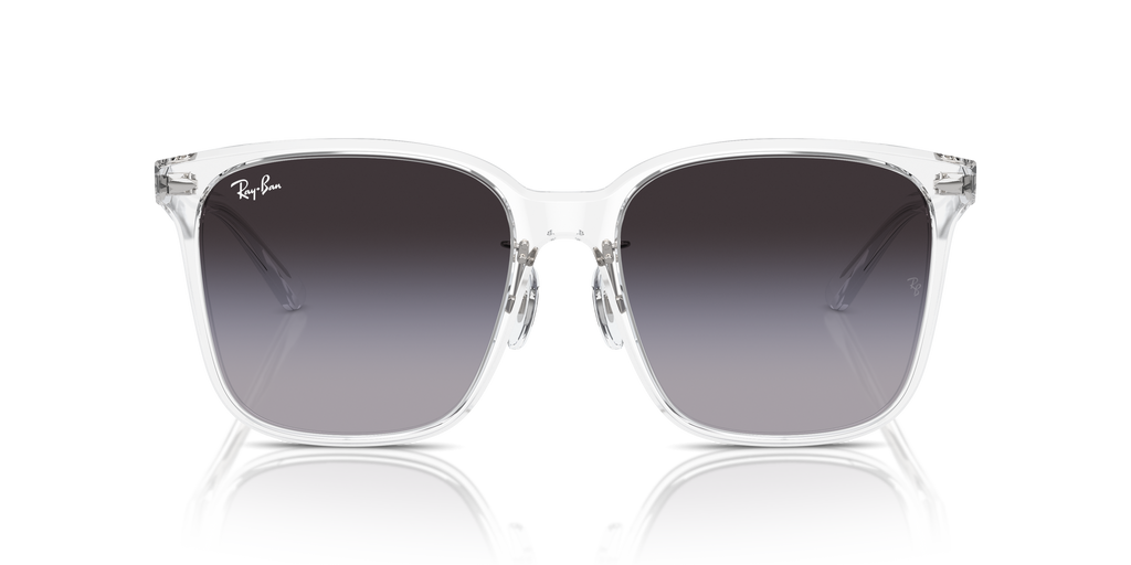 Ray-Ban | 0RB2206D