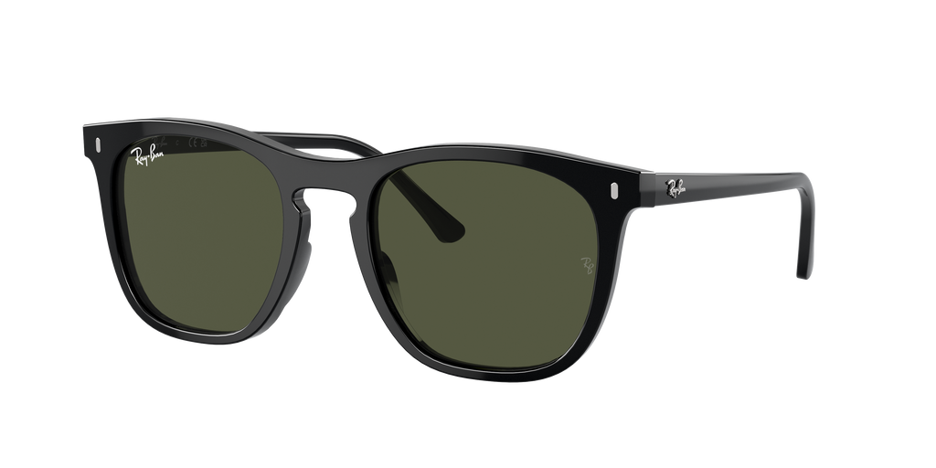 Ray-Ban | 0RB2210