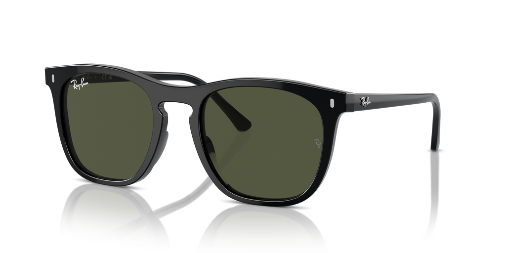 Ray-Ban | 0RB2210