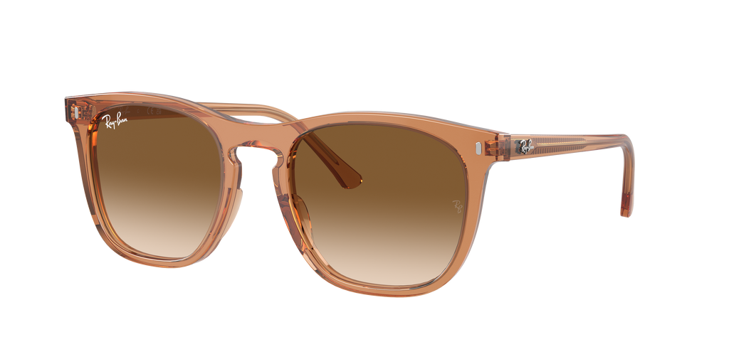 Ray-Ban | 0RB2210