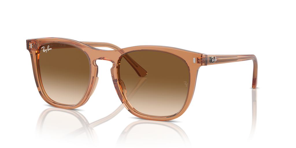 Ray-Ban | 0RB2210