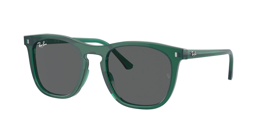 Ray-Ban | 0RB2210