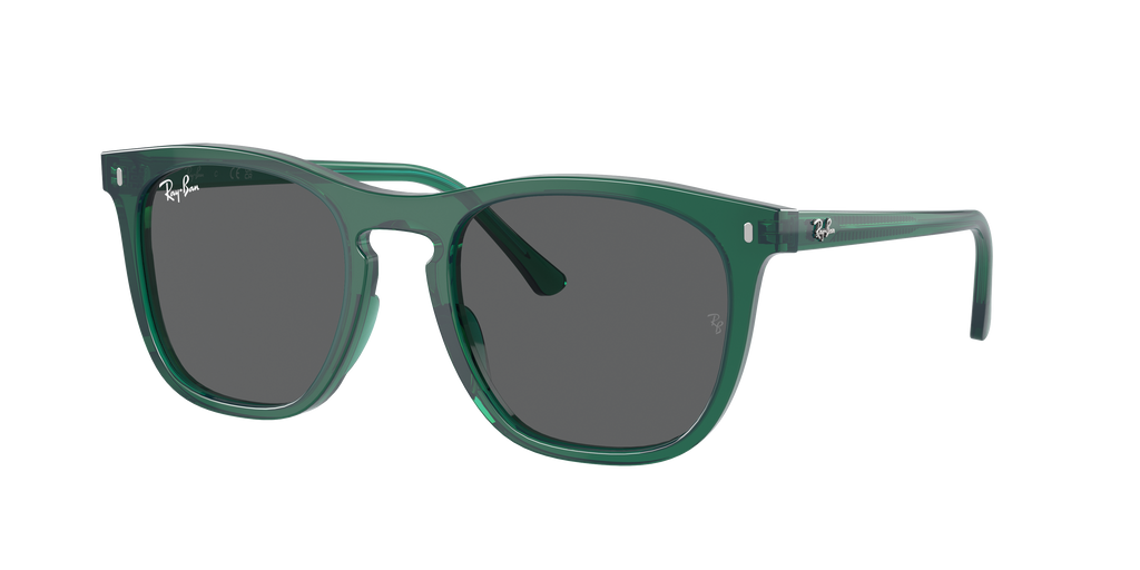 Ray-Ban | 0RB2210