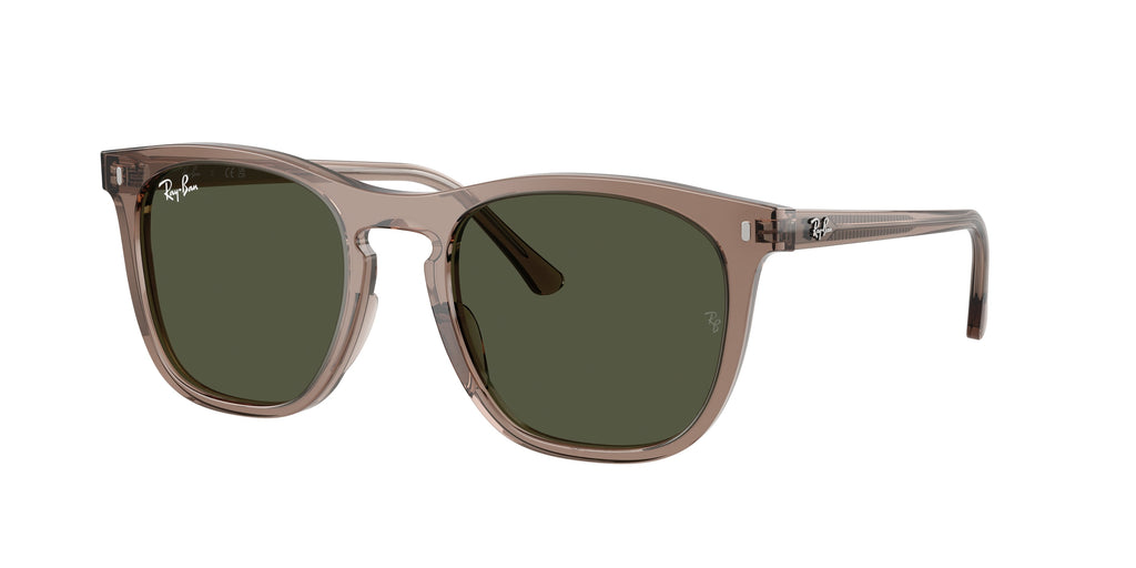 Ray-Ban | 0RB2210
