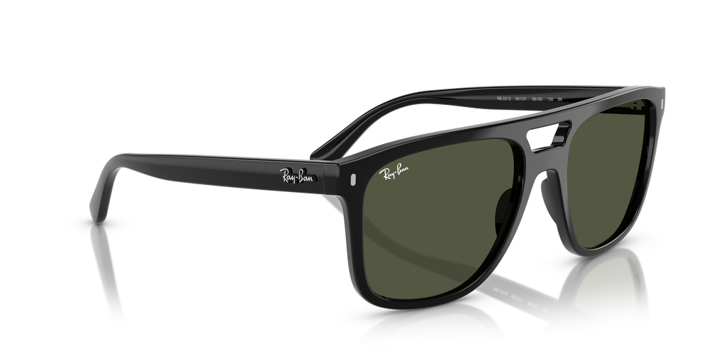Ray-Ban | 0RB2213