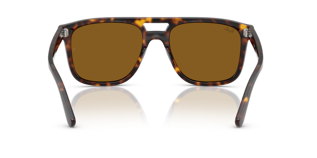 Ray-Ban | 0RB2213