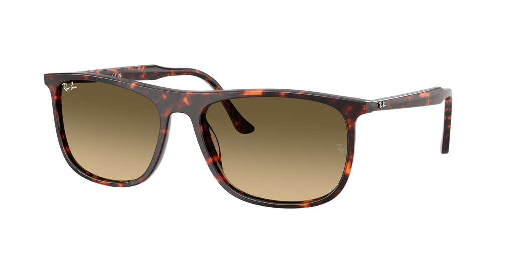 Ray-Ban | 0RB2216