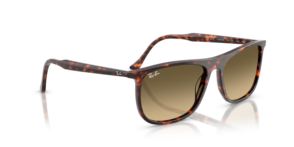 Ray-Ban | 0RB2216
