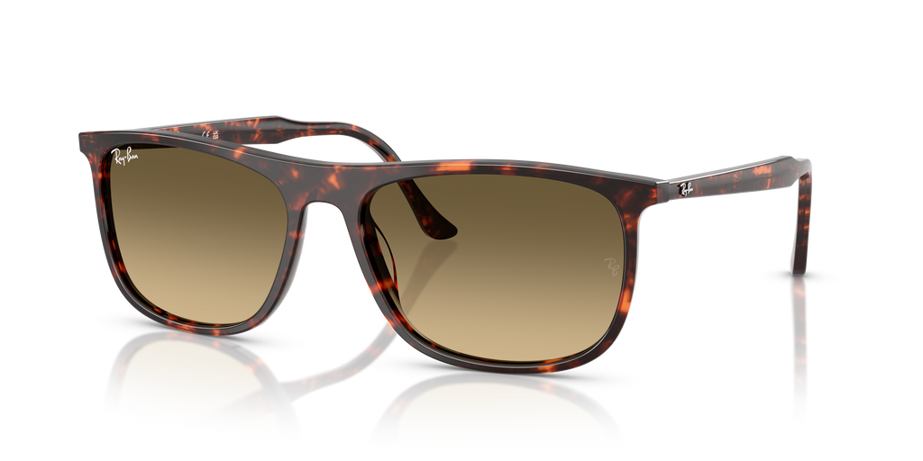 Ray-Ban | 0RB2216