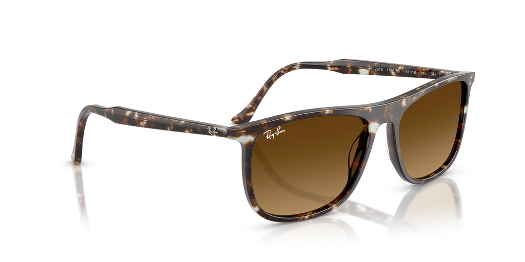 Ray-Ban | 0RB2216