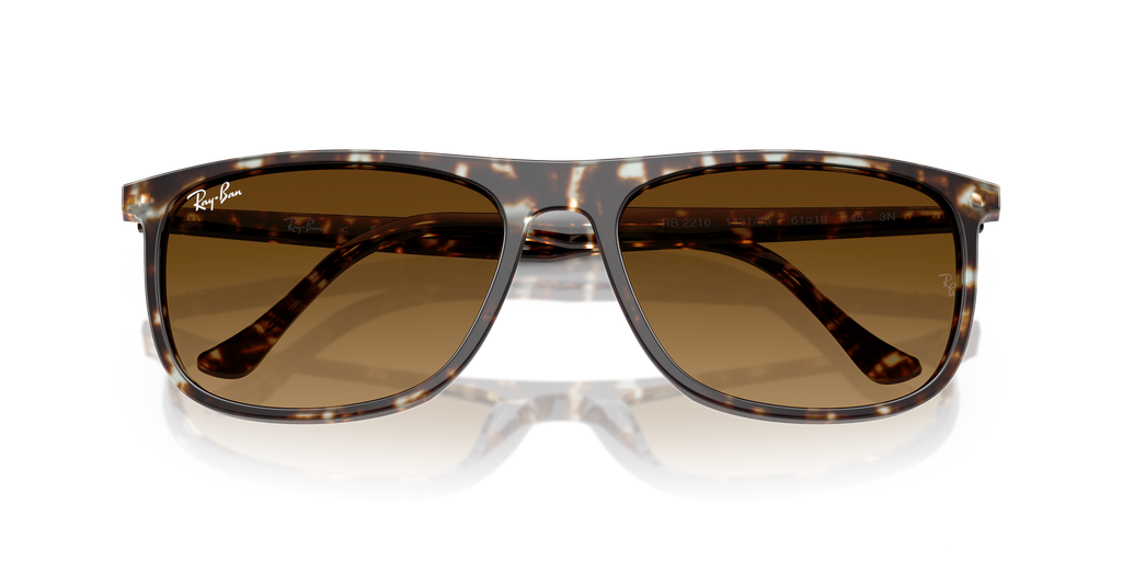 Ray-Ban | 0RB2216