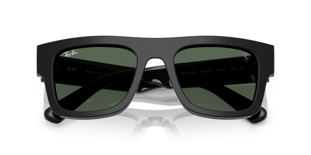 Ray-Ban | 0RB2217M