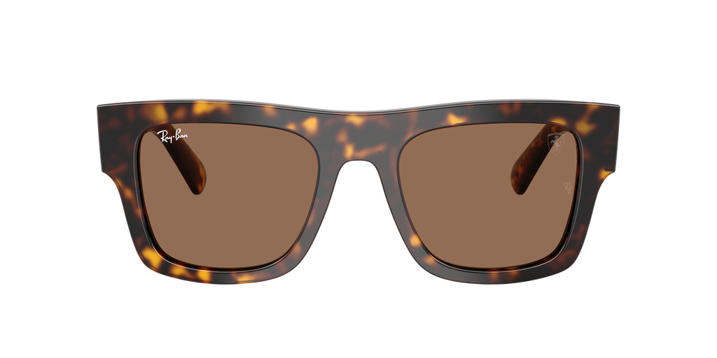 Ray-Ban | 0RB2217M