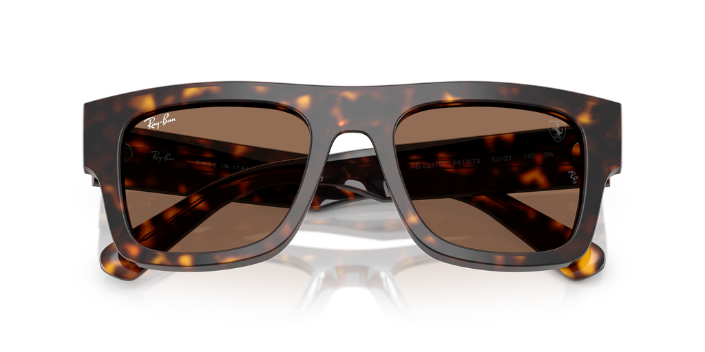 Ray-Ban | 0RB2217M